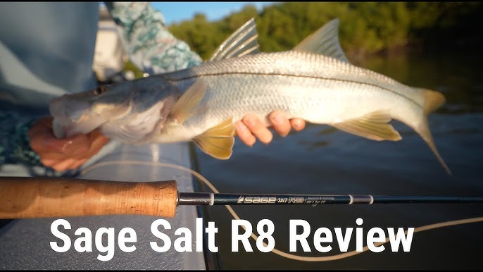 Stopping Big Fish With The Sage Enforcer Saltwater Fly Reel - Review 