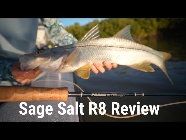 Sage Salt R8 Fly Rod Review  The Jack Of All Trades 