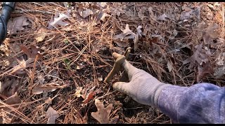 This Happened While Metal Detecting Ammo Playground