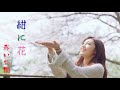 赤い公園 紺に花 Music Video