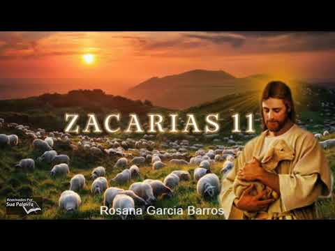 Zacarias 11 - Reavivadospsp - Rosana Garcia Barros