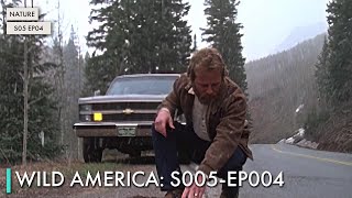 Wild America: S05 EP04