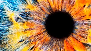 Your Mind Creates Your Reality: What Isaac Lidsky Learned by Going Blind at Age 25 | Big Think