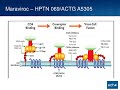 Pre-Exposure Prophylaxis for HIV Prevention: State of the Art, and Looking to the Future