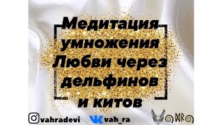 Медитация увеличения Любви через дельфинов и китов