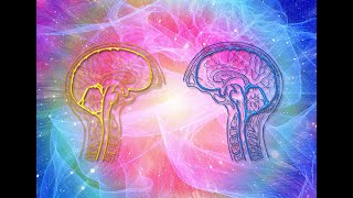 Cognitive Neuroscience — Neil Burgess#Cognitive Neuroscience#Cognitive Neuroscience