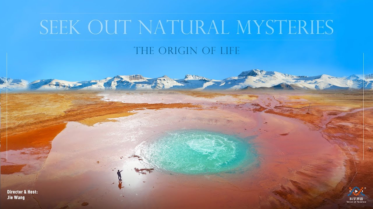 Seek Out Natural Mysteries: The Origin of Life - YouTube