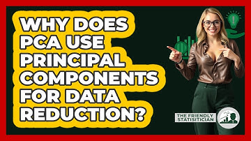 Why Does PCA Use Principal Components For Data Reduction? - The Friendly Statistician