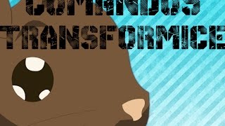COMANDOS DE TRANSFORMICE - SHADOW145