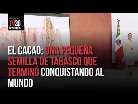 Suave Patria: el cacao de Tabasco, una semilla que conquistó al mundo