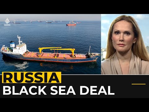 Kremlin declines to extend the Black Sea grain deal