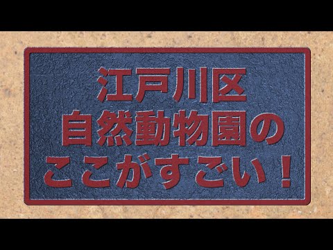 こんなにすごい！江戸川区自然動物園