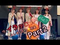 【豆柴の大群】今、イラッとしました?🤭特集 Part2