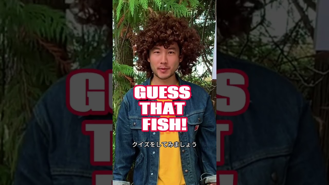 The Joy of Kanji: Fish (魚) [episode 50]