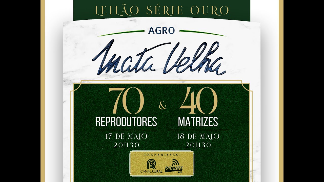 Lote 57   Restauro S  Marina   MATS B1351 Copy