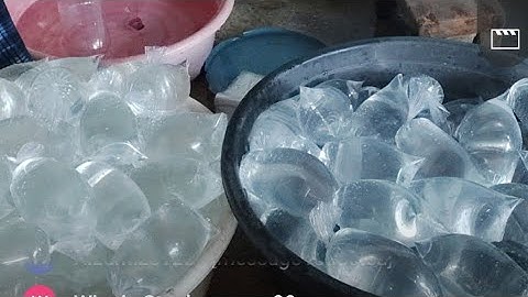 ice for fish use only