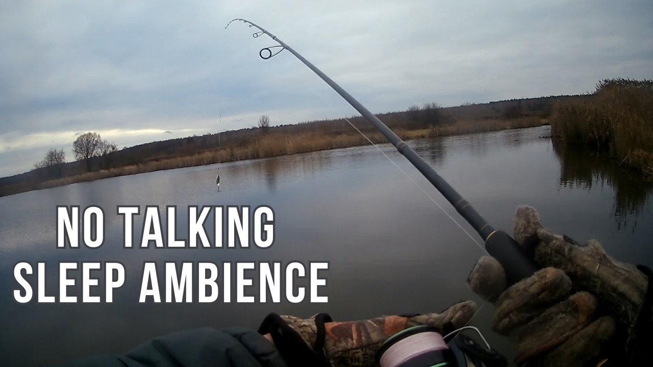 Deep Sleep Ambience — Silent Fishing Lake (No Talking)