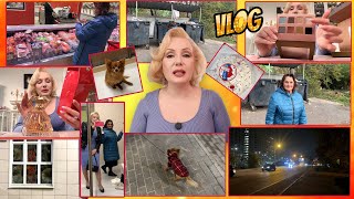 картинка: VLOG: МАМА ПРИЕХАЛА НА МОЙ ДЕНЬ РОЖДЕНИЯ🎉// ПОКУПАЕМ ТОРТ🎂// НОВАЯ СУМОЧКА👜// ЦВЕТИК БУКСУЕТ🐕‍🦺