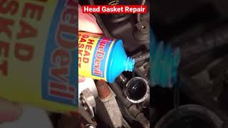 How to “Easily” fix a blown head gasket. Anyone can do it 👍