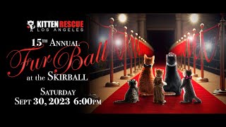 15th Annual Fur Ball Livestreamed.