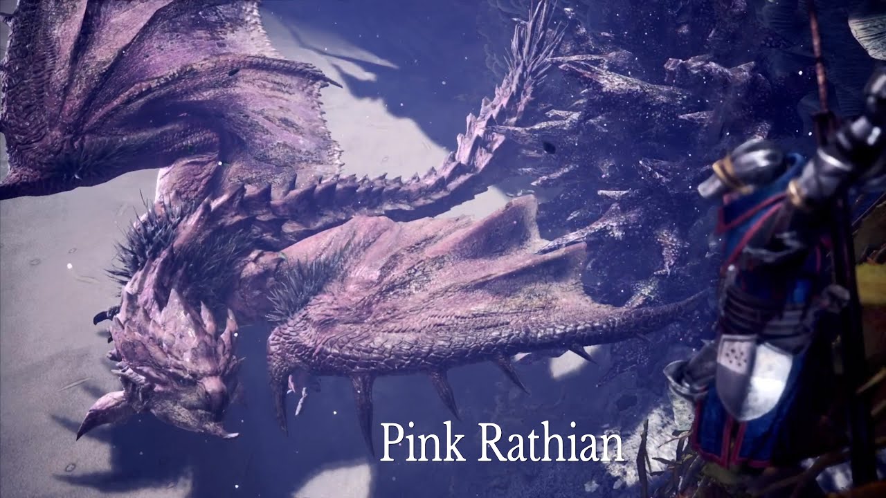 Pink Rathain World Monster Hunter World, ⭐7 Special Arena: HR Pink Rathian - YouTube