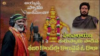 శబరి కొండల్లో కొలువైన ఓ ధోర కొత్త పాట | shabari kondallo koluvaina o dhoora song #ayyappa #viral
