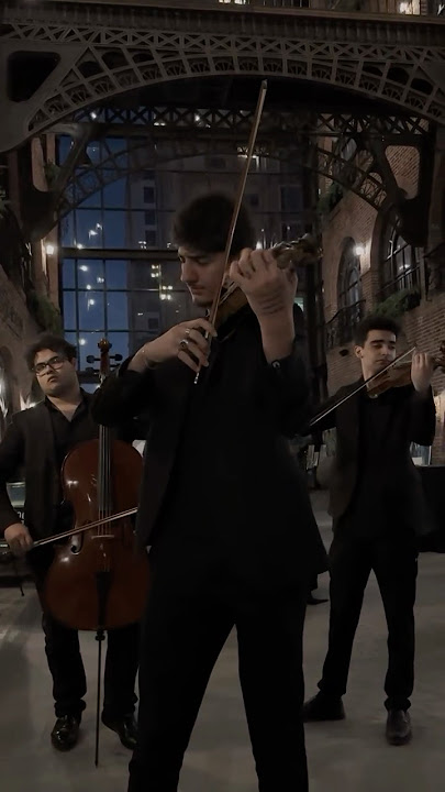 We don’t say I love you… we say 🎻javadoof #violin #violincover #violinist #turkishmusic #love #fpv