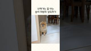 송이 미리 설레기 금지-!