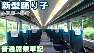 【新型】新型E257系特急踊り子 普通車乗車記
