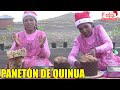 PANETÓN DE QUINUA CASERO FACIL EN CASA POR NAVIDAD | CHOLITA JULIA