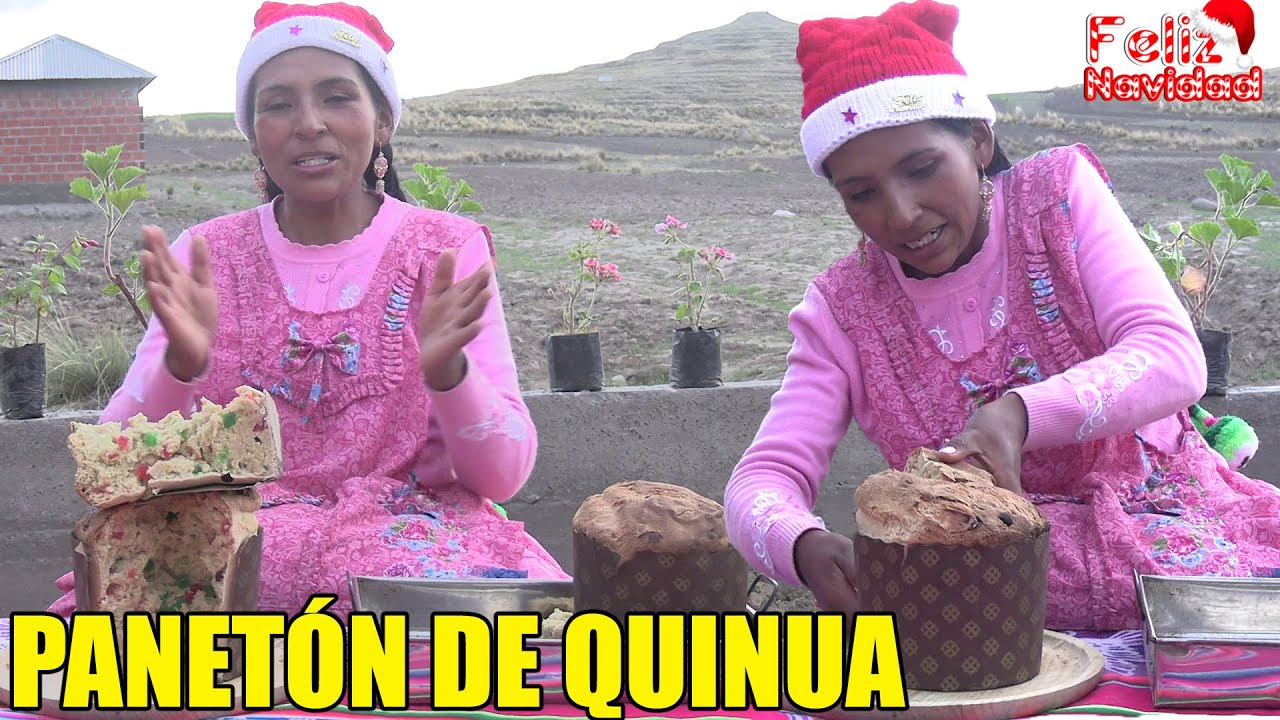 PANETÓN DE QUINUA CASERO FACIL EN CASA POR NAVIDAD | CHOLITA JULIA