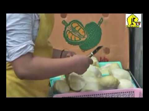 Cara Membuat Keripik Buah Naga dengan Mesin Penggoreng 