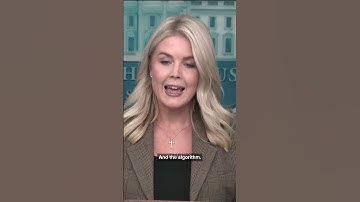 Karoline Leavitt outlines new TikTok deal