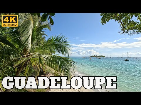GUADELOUPE - LE GOSIER - TRAVEL GUIDE - 2023 - 4K