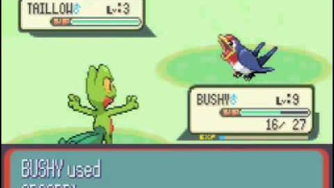 Pokemon Sapphire Walkthrough - Part 2