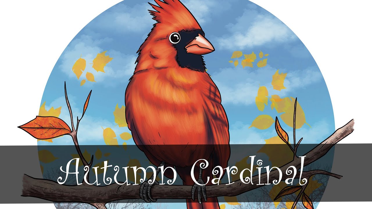 Autumn Cardinal Procreate Process - YouTube