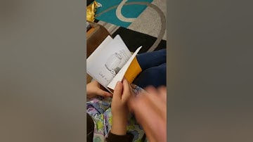 Lad and the Fat Cat (read aloud)