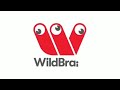 Wildbrain Claster Television 2019 Present Wildbrain Claster Television 2019 Present