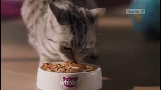 Download lagu Iklan Whiskas