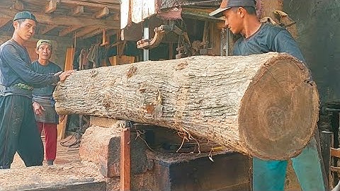 Spektakuler!! Kayu Jati Simpanan Kolektor Bernilai 1 Milyar Disawmill Balok Bahan Rumah Joglo