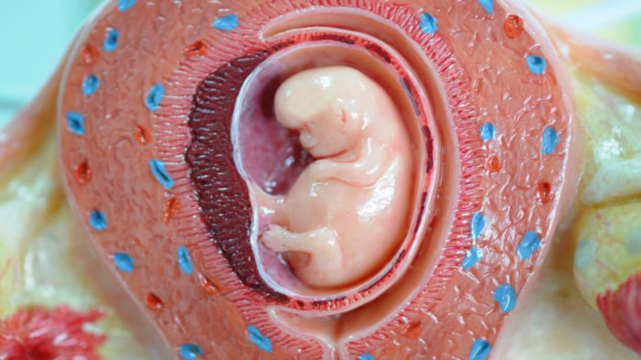 Рождение после срока. Ребенок в плаценте матке.
