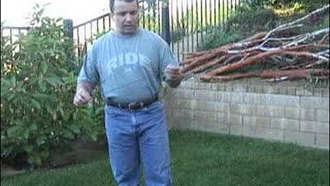 Video 6891961: big savannah cat, big cat rescue