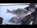 Попали на раздачу Горбачей и Щуки на балансир и блесну!