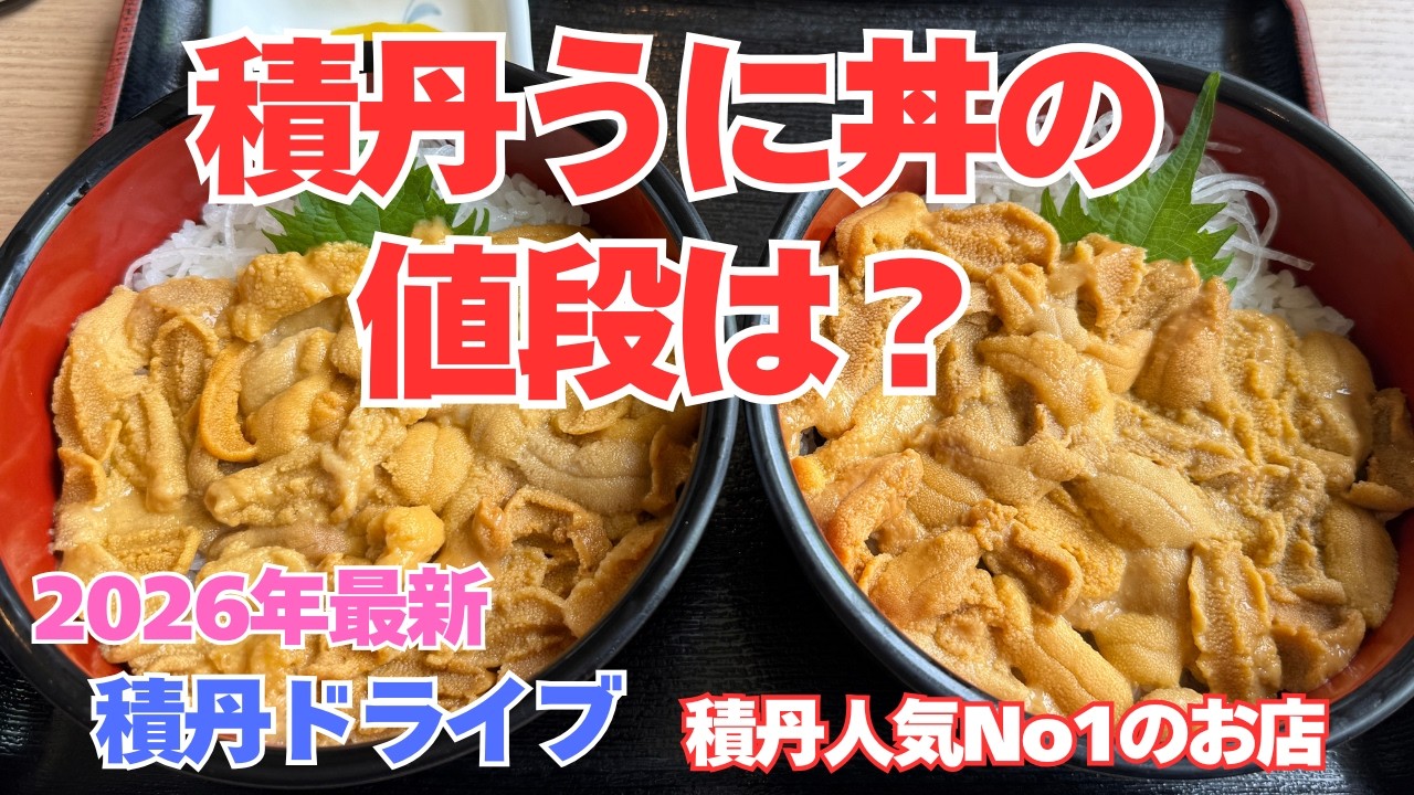 【うに丼様】ウィッグオーダー お見積もり 星 6〜8月限定】積丹半島へうに丼を食べに行ったら・・・今年のうに丼の