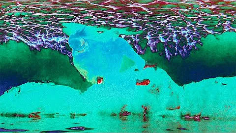 Michael Vest - Salamander ( Official Video)