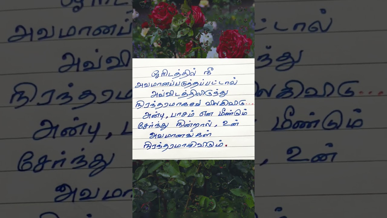 அன்பு , பாசம் ... 