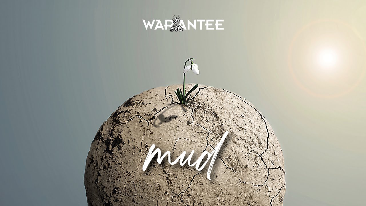 mud - warantee
