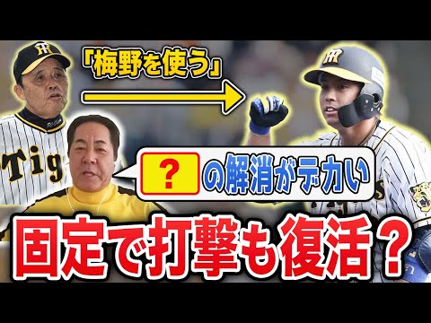 【優勝のキーマン】梅野をレギュラーにするメリットと今年期待できる成績