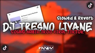 DJ TRESNO LIYANE ‐ ( Slowed & Reverb ) 🎧🎶
