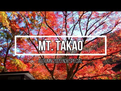 Video: Takaosan Aivovaltimon Takaosa Vartalokartat